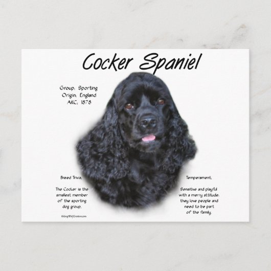 Cocker Spaniel (schwarz) Geschichtsdesign Postkarte (Vorderseite)