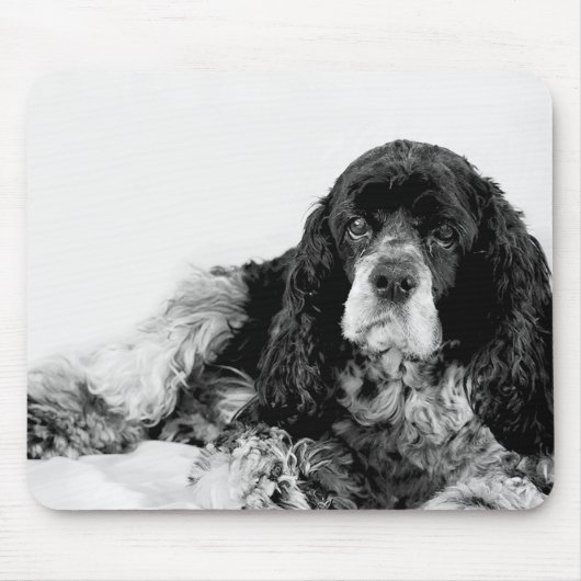 Cocker Spaniel Schwarz-Weiß-Mauspad Mousepad (Vorne)