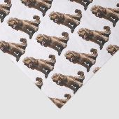 Cocker spaniel seidenpapier (Ausschnitt)