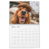 Cocker Spaniel-Selfie-Tour - Reise-Kalender Kalender (Feb 2027)