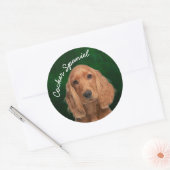 Cocker Spaniel Sticker (Umschlag)