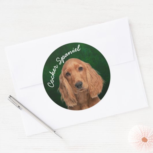 Cocker Spaniel Sticker (Umschlag)