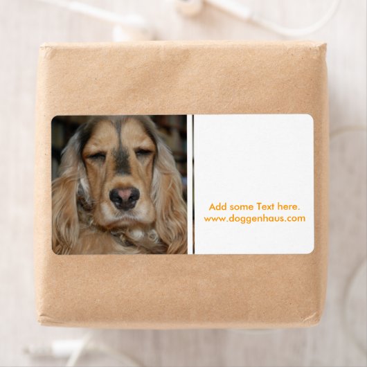 Cocker Spaniel Sushi (Insitu)