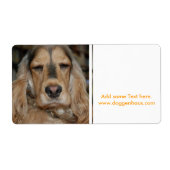 Cocker Spaniel Sushi (Vorne)