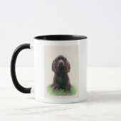 Cocker spaniel tasse (Links)
