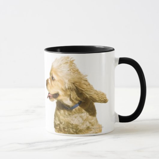 Cocker spaniel tasse (Rechts)