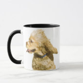 Cocker spaniel tasse (Links)