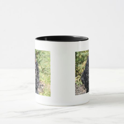 Cocker Spaniel Tasse (Zentrum)