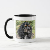 Cocker Spaniel Tasse (Links)