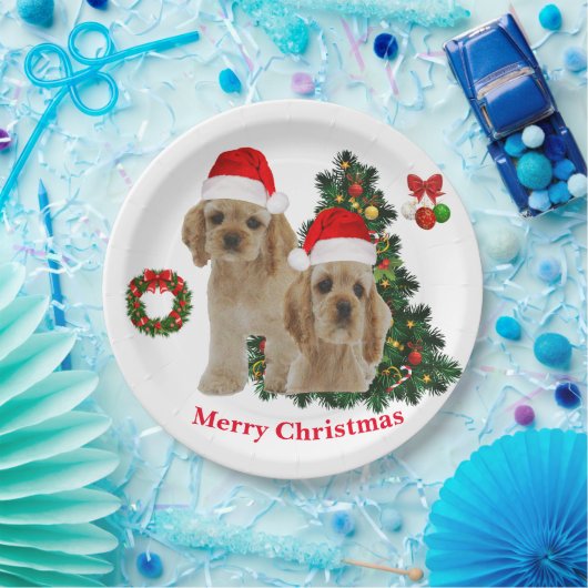 Cocker spaniel Teller (Party)