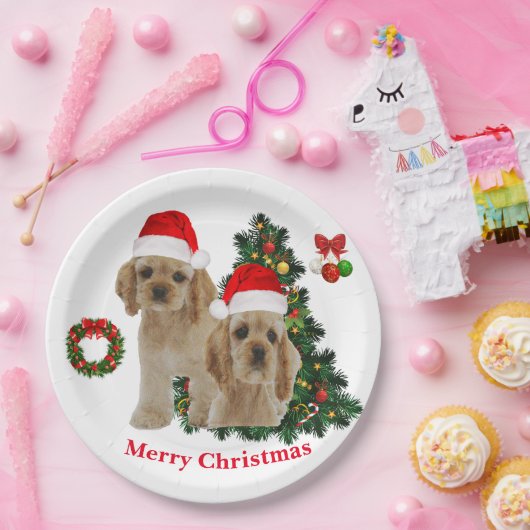 Cocker spaniel Teller (Party)