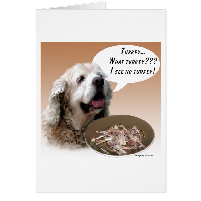 Cocker Spaniel Türkei (Vorne)