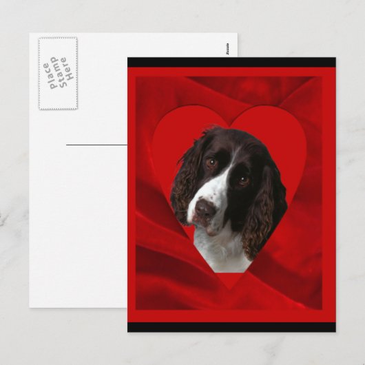Cocker Spaniel Valentine Feiertagspostkarte (Vorne/Hinten)