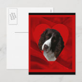 Cocker Spaniel Valentinstag Feiertagspostkarte (Vorne/Hinten)