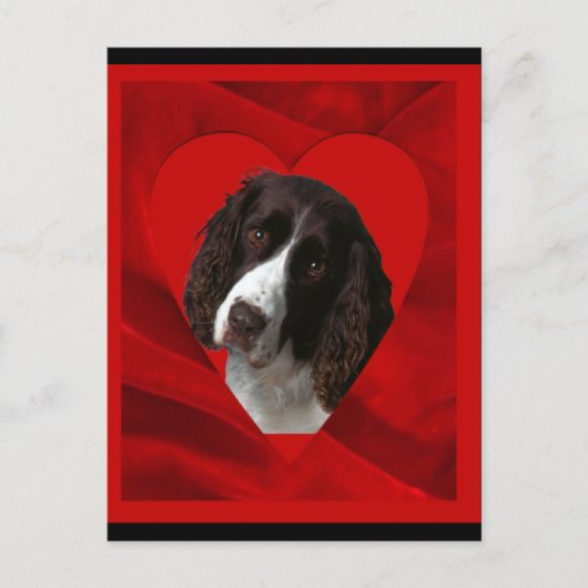 Cocker Spaniel Valentinstag Feiertagspostkarte (Vorderseite)