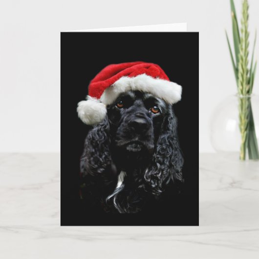 Cocker spaniel-Weihnachten Feiertagskarte (Vorderseite)