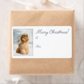 Cocker Spaniel Weihnachtsgeschenke Stickers (Insitu)