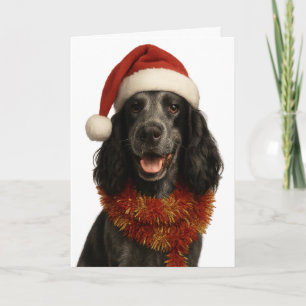 Cocker Spaniel Weihnachtskarte Karte