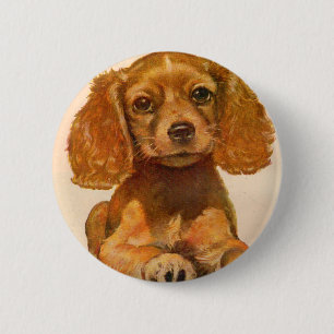 Cocker Spaniel-Welpe aus den 1940er Jahren - Das s Button