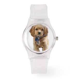 Cocker Spaniel Welpe beobachten Armbanduhr