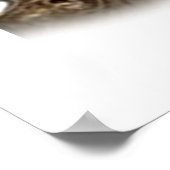 Cocker-Spaniel-Welpe Poster (Ecke)