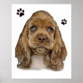 Cocker-Spaniel-Welpe Poster (Vorne)