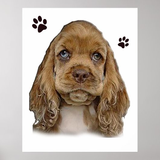 Cocker-Spaniel-Welpe Poster (Vorne)