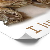 Cocker Spaniel Welpe Poster (Ecke)