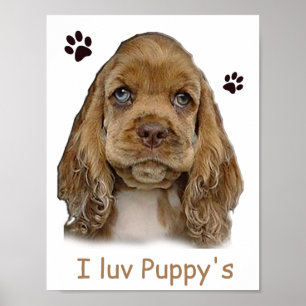 Cocker Spaniel Welpe Poster