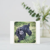 Cocker spaniel-Welpe Postkarte (Stehend Vorderseite)