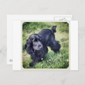 Cocker spaniel-Welpe Postkarte (Vorne/Hinten)