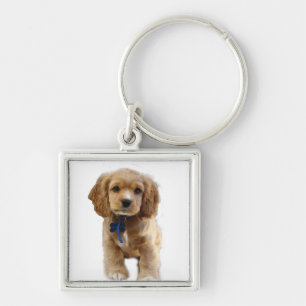 Cocker-Spaniel-Welpe-Schlüsselanhänger Schlüsselanhänger