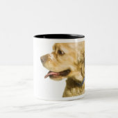 Cocker spaniel zweifarbige tasse (Mittel)