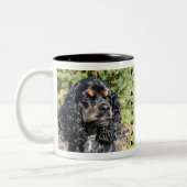 Cocker spaniel zweifarbige tasse (Links)