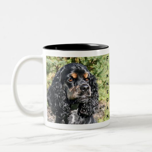 Cocker spaniel zweifarbige tasse (Links)