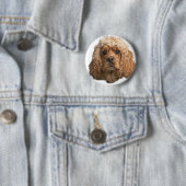 Cocker-Spaniels Button (Beispiel)