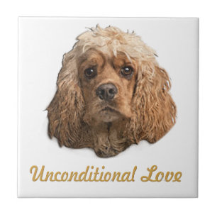 Cocker-Spaniels Fliese