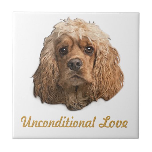 Cocker-Spaniels Fliese (Vorderseite)