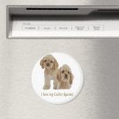 Cocker-Spaniels Magnet (In Situ (Geschirrspüler))