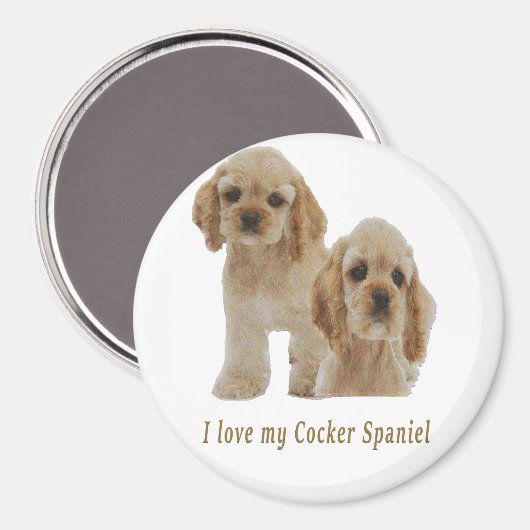 Cocker-Spaniels Magnet (Vorderseite/Rückseite)
