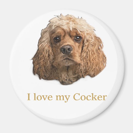 Cocker-Spaniels Magnet (Vorne)
