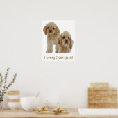 Cocker-Spaniels Poster (Küche)