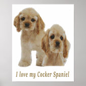 Cocker-Spaniels Poster (Vorne)