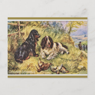 Cocker-Spaniels Postkarte