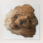 Cocker-Spaniels Puzzle (Vertikal)