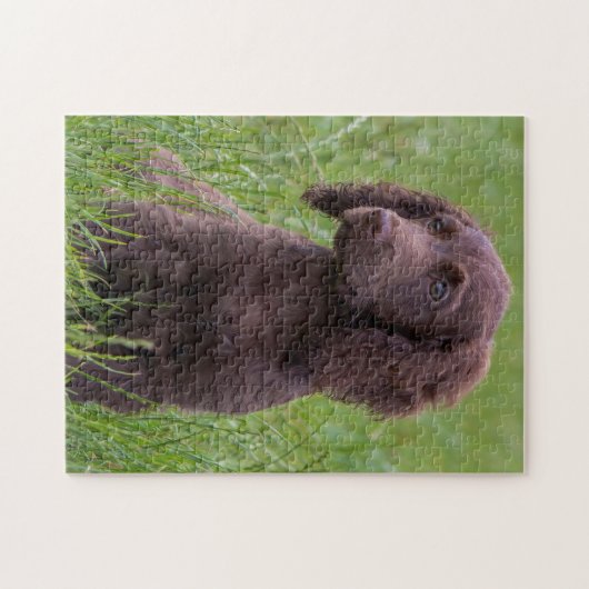 Cocker Spanier Puzzle (Horizontal)