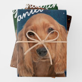 Cocker Spanierwrapping Paper Sheets Geschenkpapier Set (Beispiel)