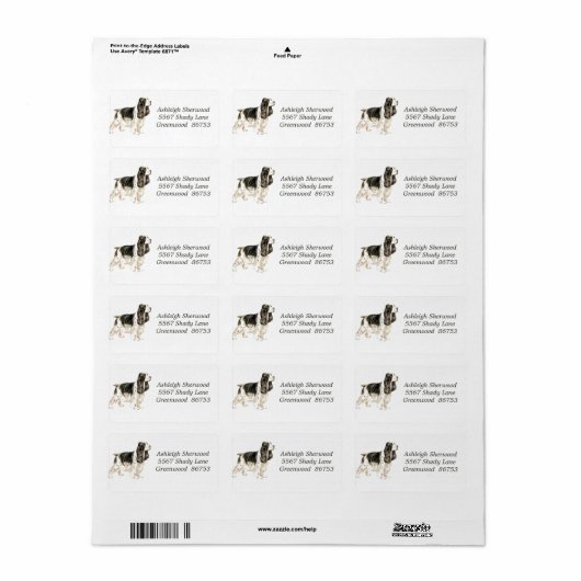 Cocker-Spanisch-Adressetikett Adressaufkleber (Vorne)