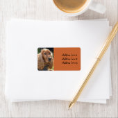 Cocker Spanisch Foto-Adressetikett Adressaufkleber (Insitu)