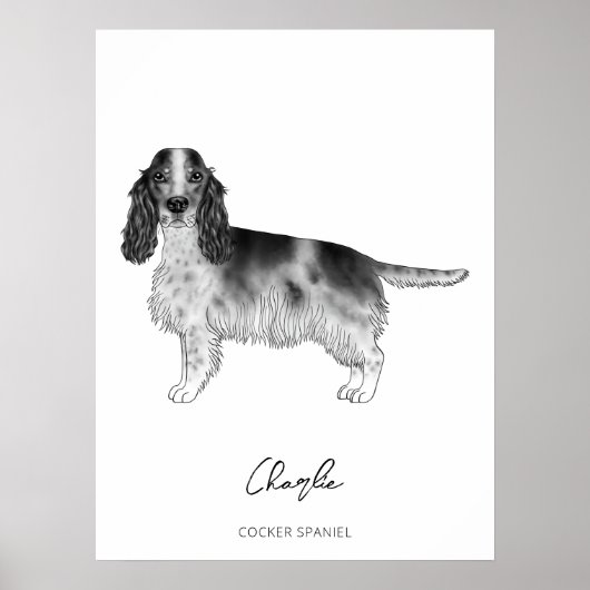 Cocker Spanisch in Schwarz, Weiß und Zoll Poster (Vorne)